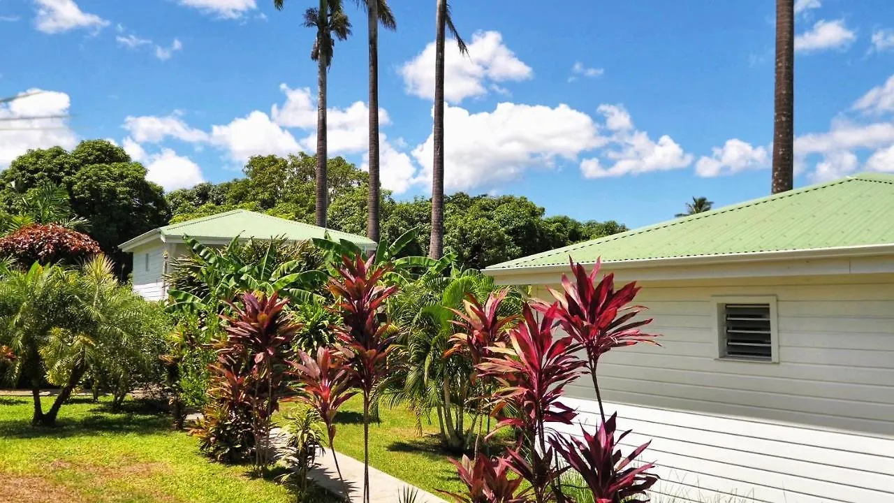 Indigo Palmes Villa Sainte-Rose Holiday home