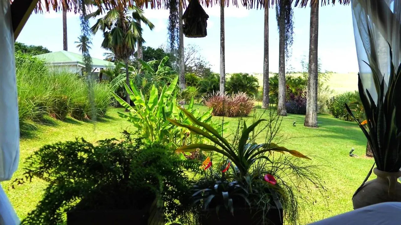 Vakantiehuis Indigo Palmes Villa Sainte-Rose