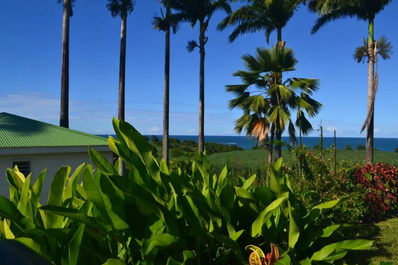 Indigo Palmes Villa Sainte-Rose Guadeloupe