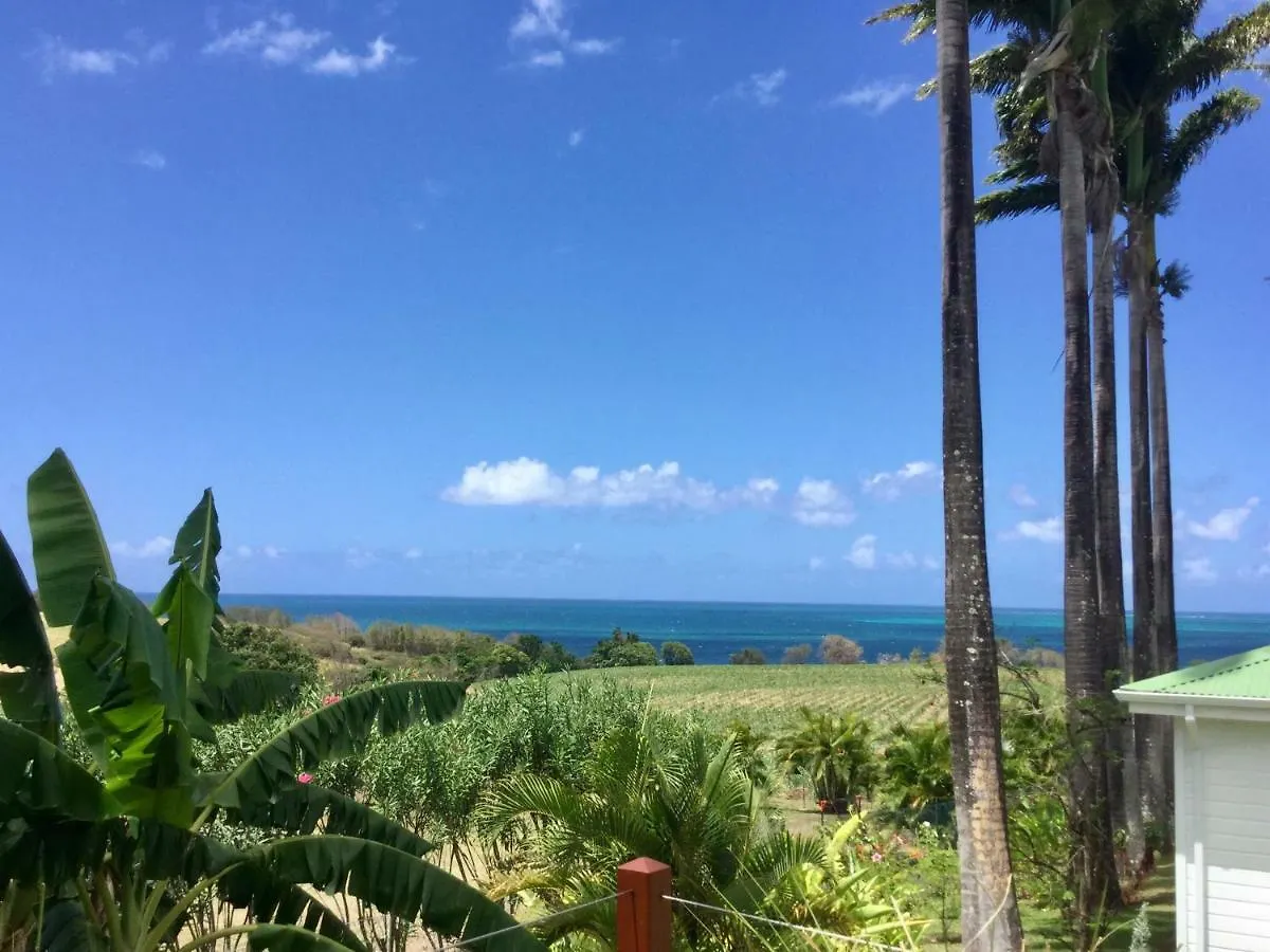 Holiday home Indigo Palmes Villa Sainte-Rose Guadeloupe